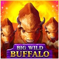 game logo by Belatra Games on rocketrichescasino.eu.com